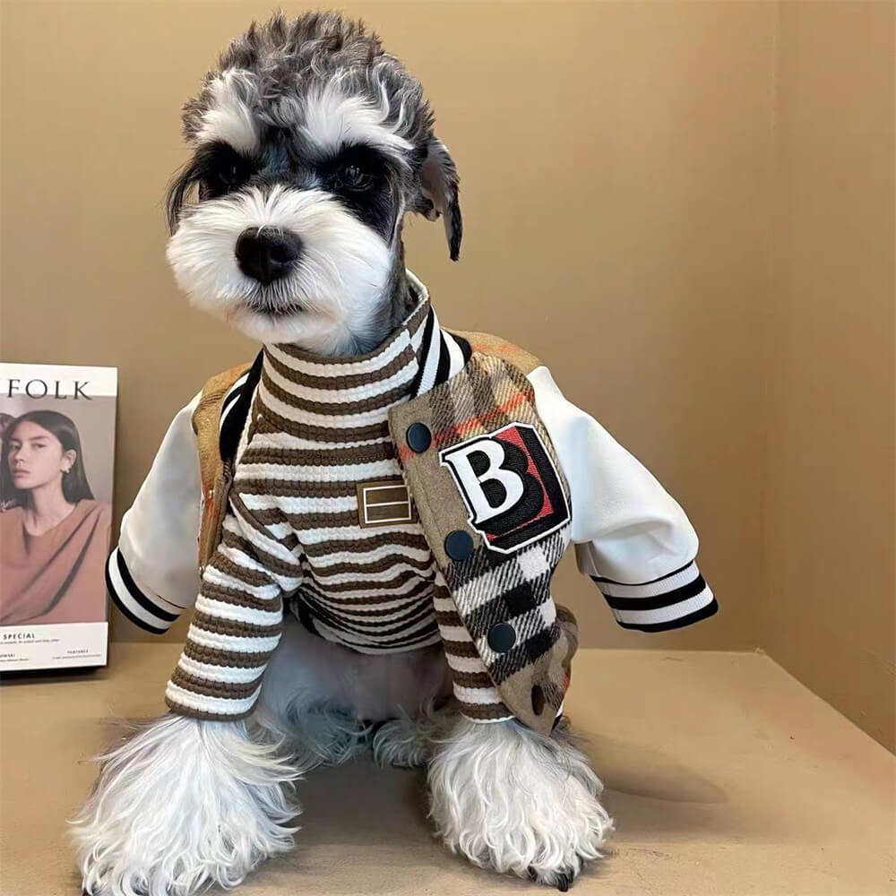 Giacca per cani da baseball a quadri - capispalla sportiva ed elegante per cani