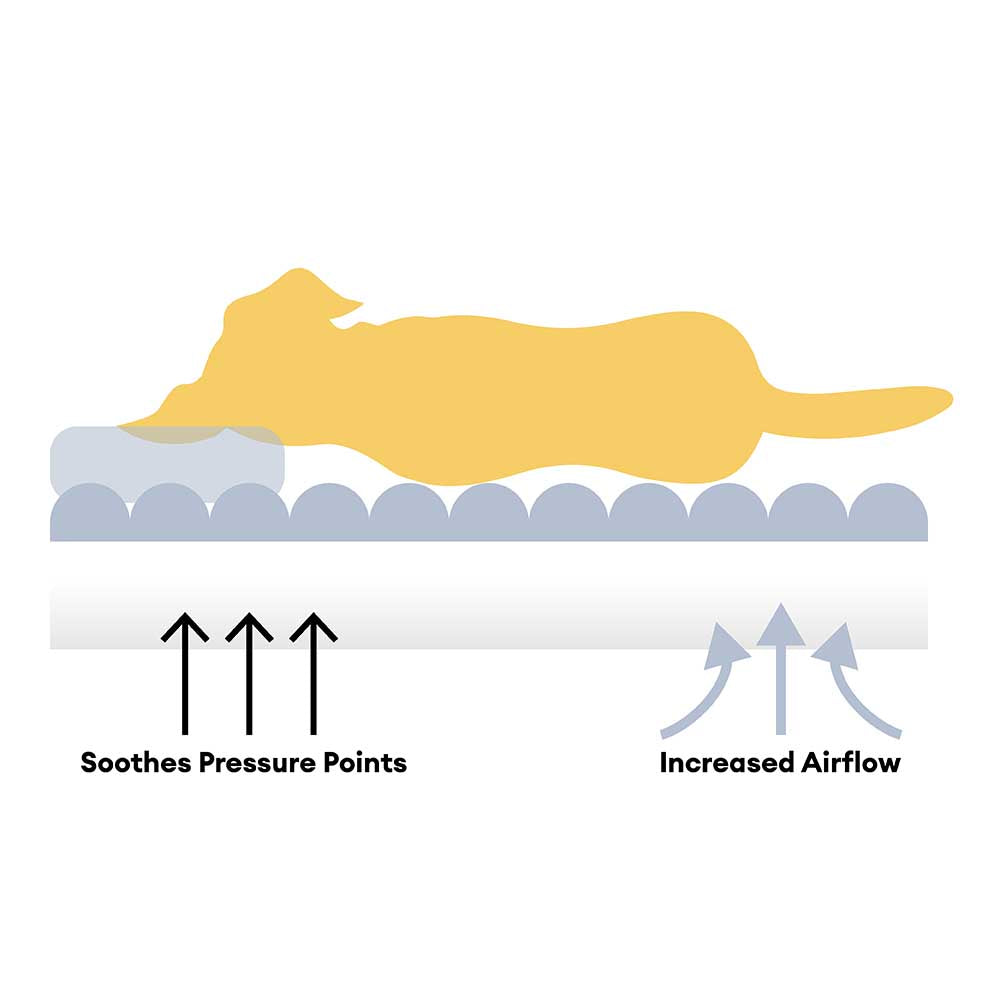 Gran lavable y esponjoso acogedor bolster sofá sofá cama vaquero