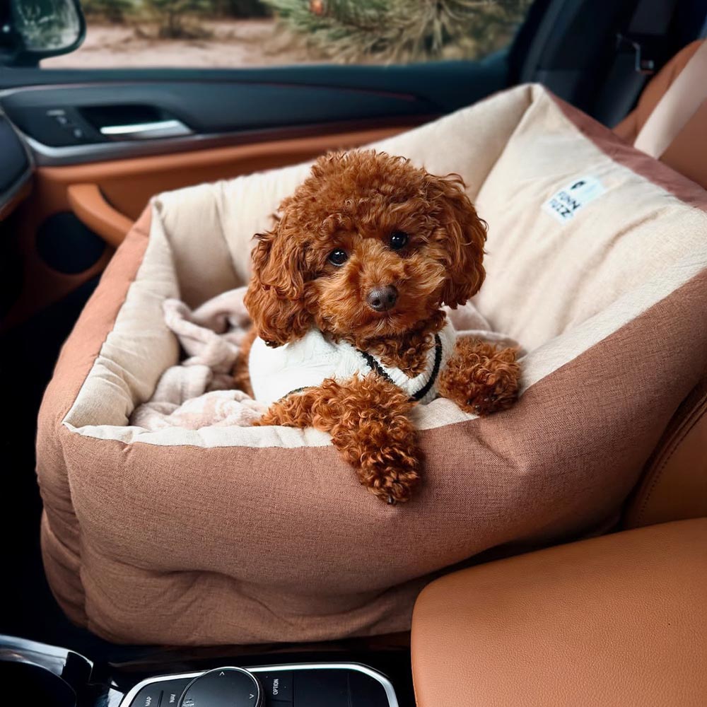 Lit de siège de voiture pour chien, rehausseur de Protection de voyage, imperméable, surélevé et épais