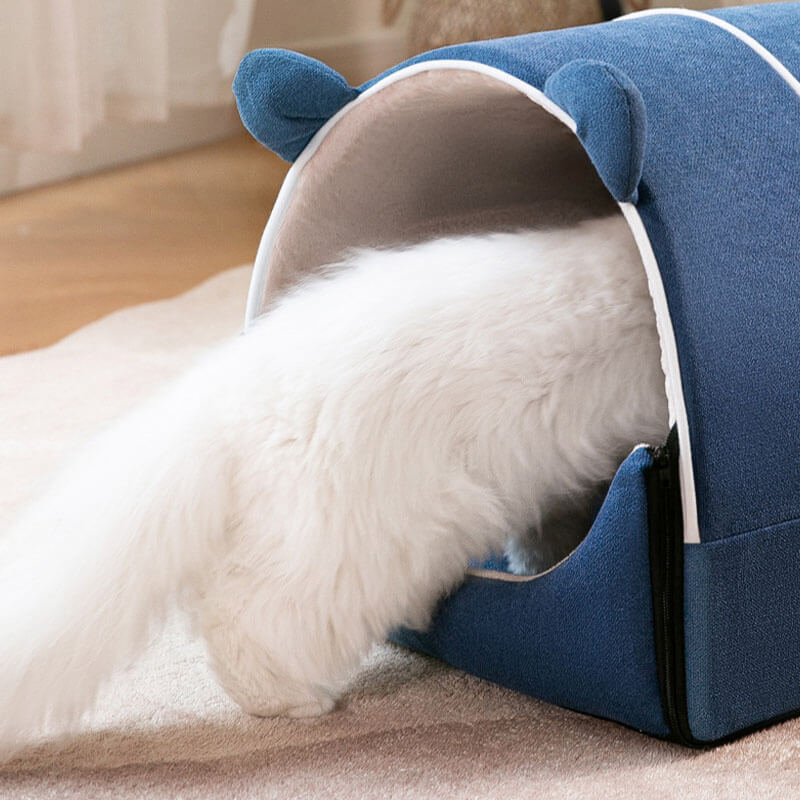 2 in 1 graziose orecchie da orso rimovibile per cani