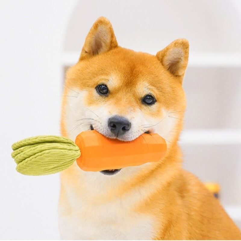 Giocattolo cigolare di carote durevole cane da masticare giocattolo