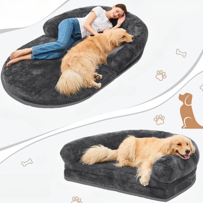 Cama de perros de perro grande y lujoso cama humana plegable