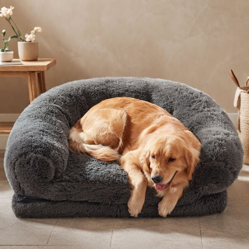 Cama de perros de perro grande y lujoso cama humana plegable