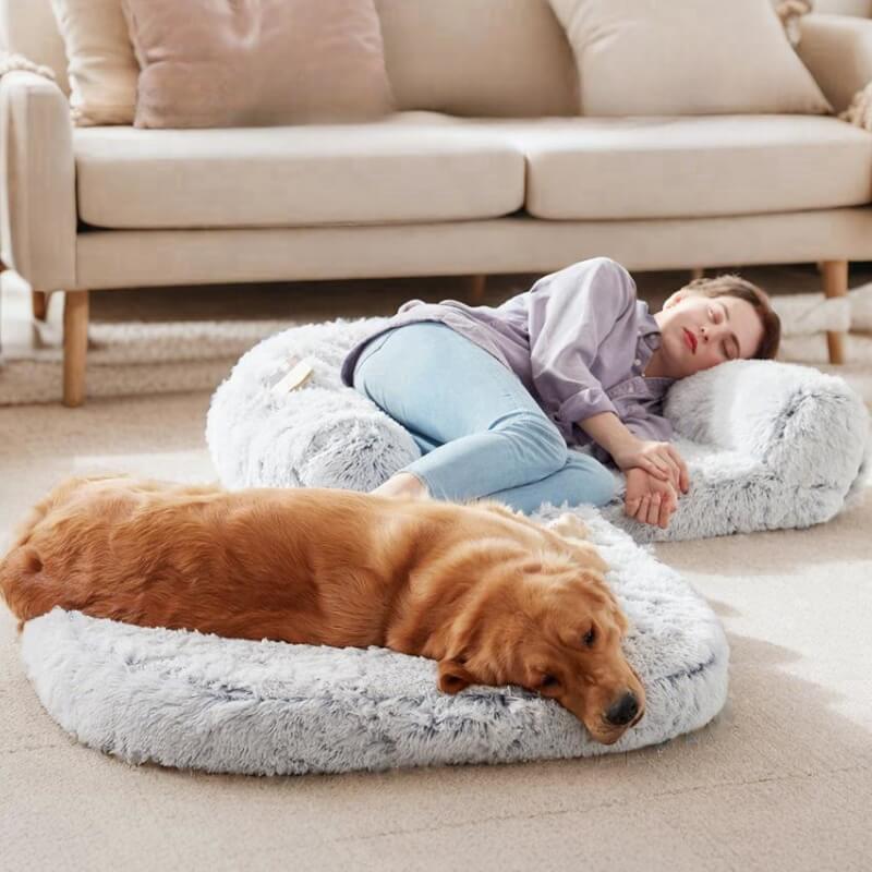 Cama de perros de perro grande y lujoso cama humana plegable