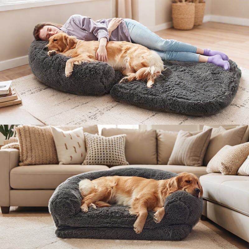 Cama de perros de perro grande y lujoso cama humana plegable