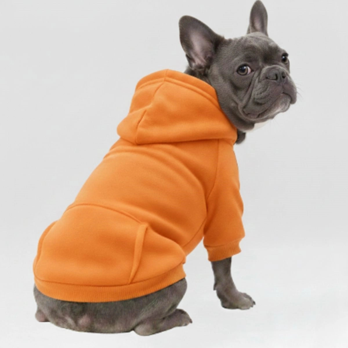 Bunte, gemütliche Hunde-Kapuzenpullover – perfekt für Komfort bei jedem Wetter