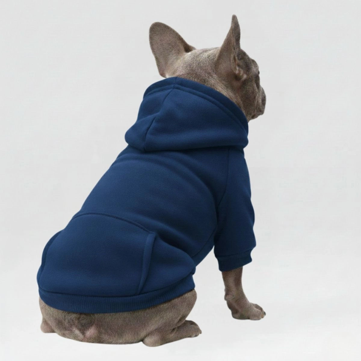 Bunte, gemütliche Hunde-Kapuzenpullover – perfekt für Komfort bei jedem Wetter