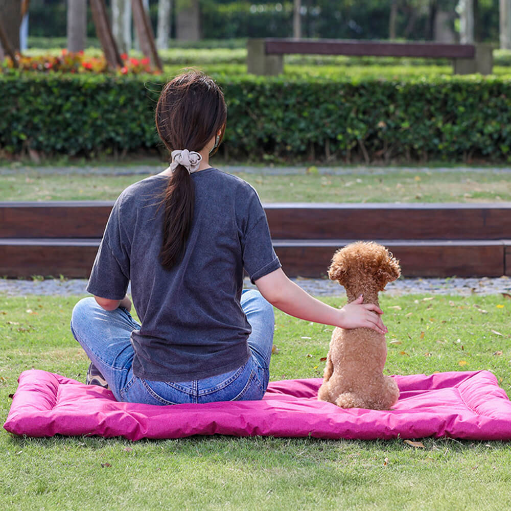 Outdoor Utility Style Waterproof Foldable Pet Mat for Car and Camping
