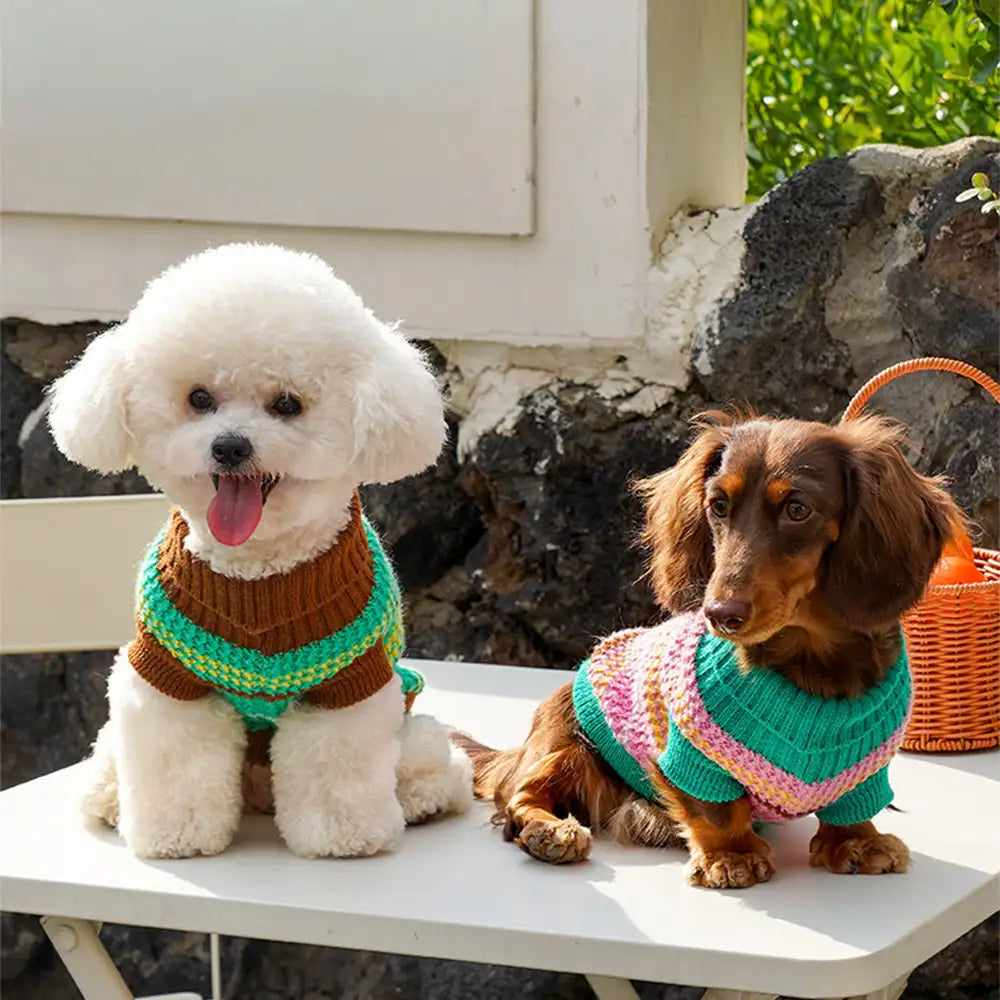 Color Blocked Striped Dachshund Dog Sweater