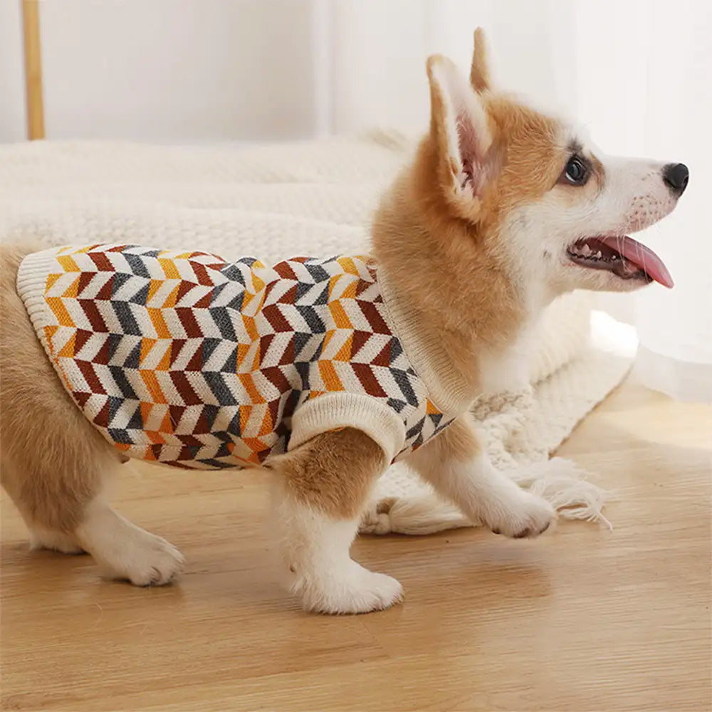 Diamond Striped Dachshund Dog Sweater