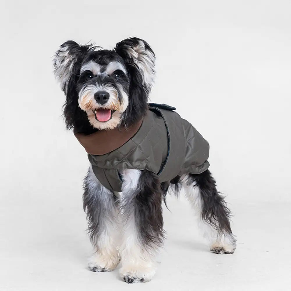 High-Neck Quilted Dog Vest – Warm Fashion Winter Coat