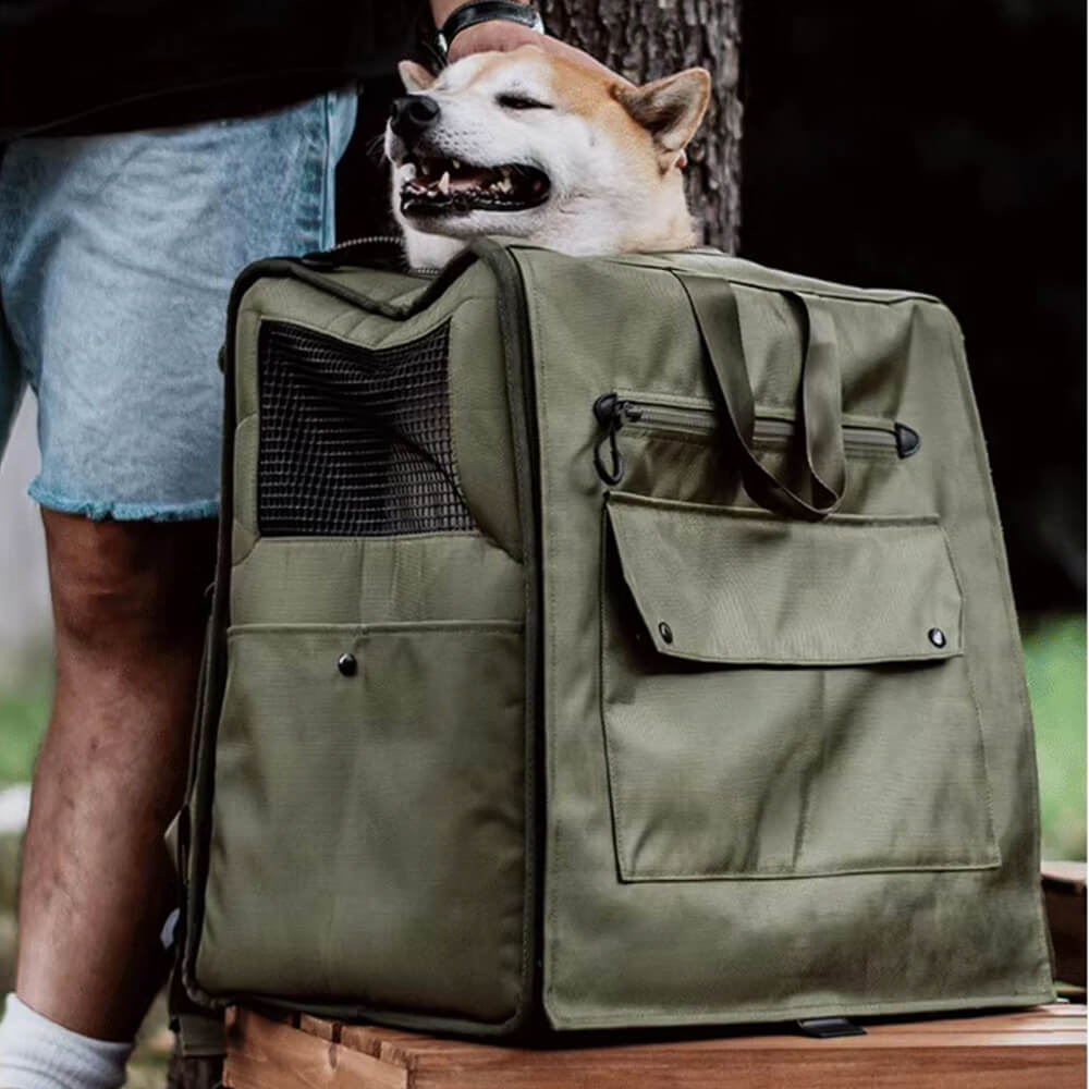 Sac à dos de transport pour animaux de compagnie, grand espace, maille respirante, imperméable, voyage