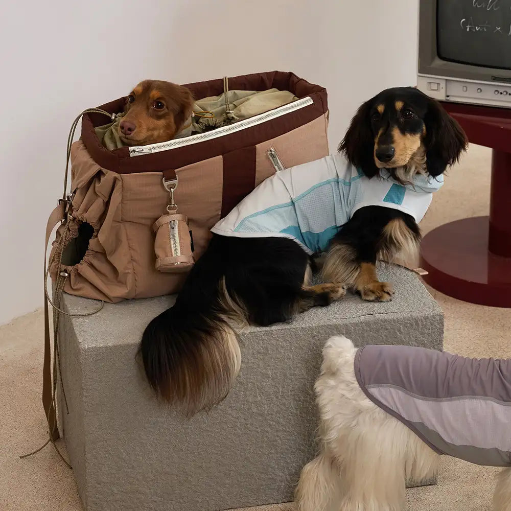 Vintage Breezy Outdoor Waterproof Large-Capacity Travel Pet Carrier Bag