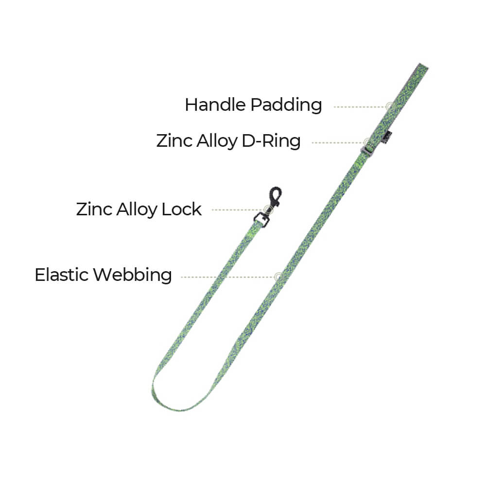 Tessuto riciclato eco-compatibile imbracatura/guinzaglio