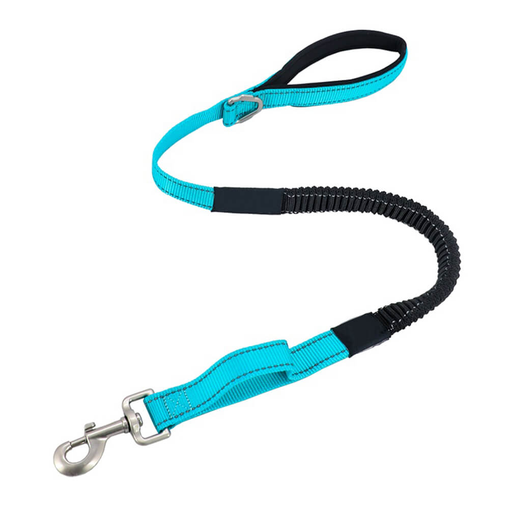 Collier et laisse pour chien anti-traction réfléchissants multifonctionnels