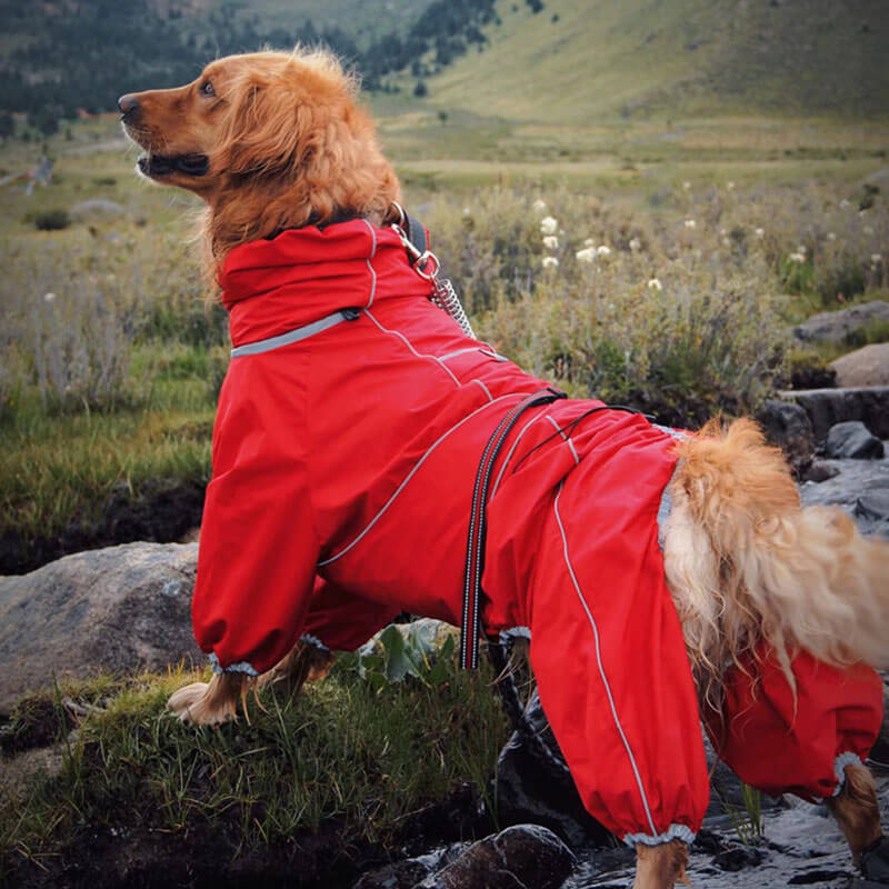 Gran chaqueta para perros al aire libre capa impermeable para perros ajustables para perros