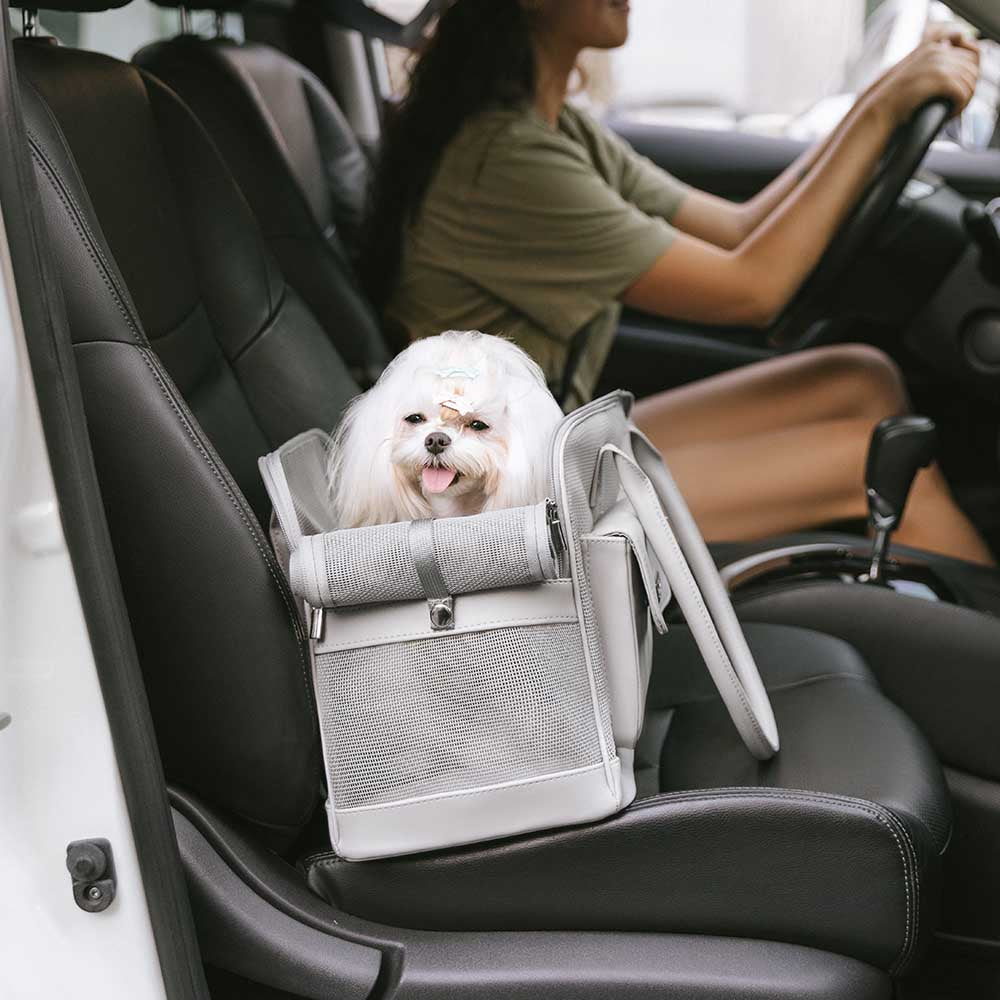 Lightweight Breathable Mesh Safe Pet Carrier - Urban Ease