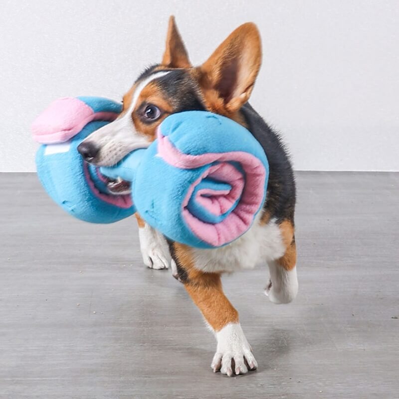 Disper al dispensatore di cibi puzzle interattiva cognulla cuta