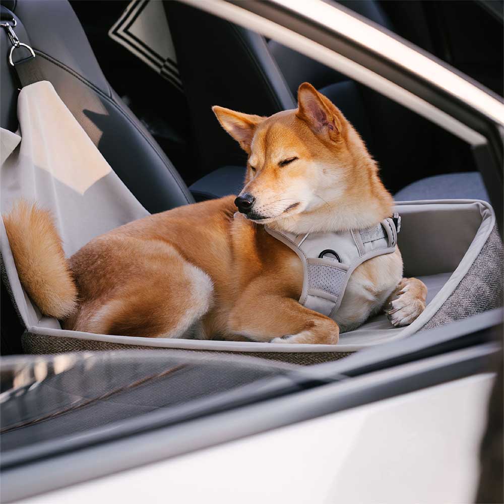 Sede di sicurezza per viaggi ispessivi il letto di sedile per auto elevati