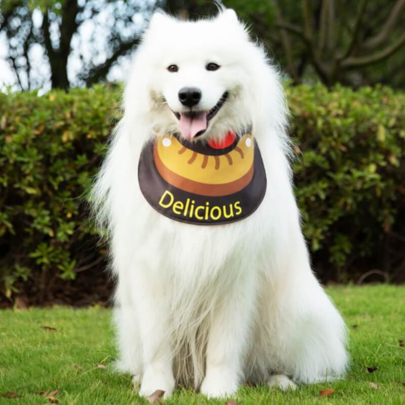 Pet Necklefief impermeable accesorios para perros fríos babero