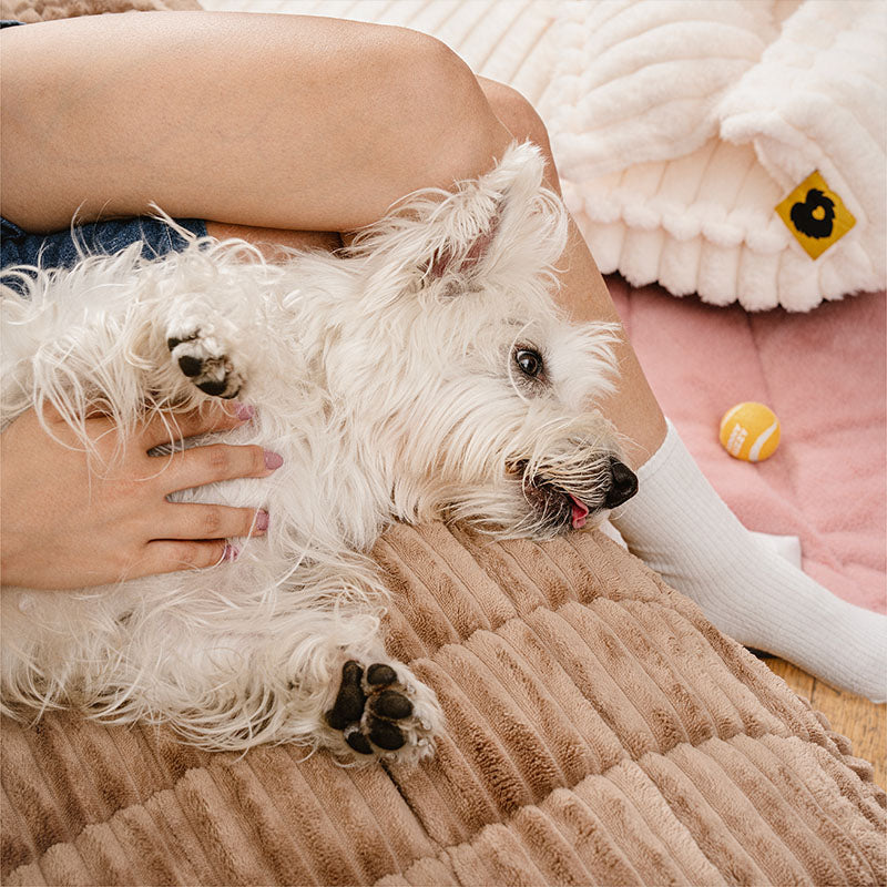 Lazy Soft Flannel Breathable Pet Mat Non-slip Couch Covers