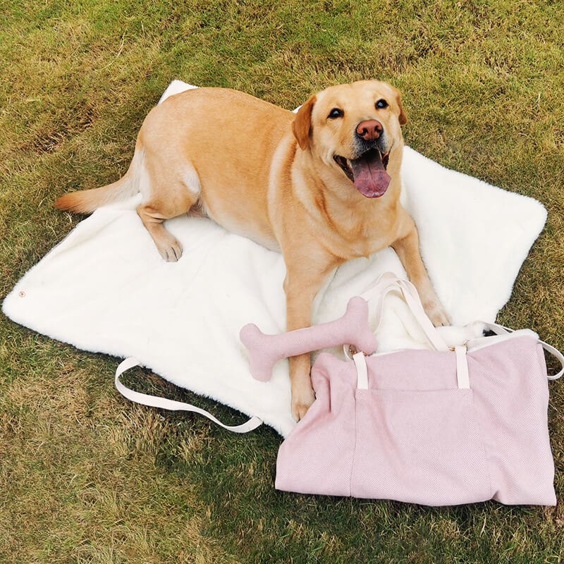 Portable Dog Mat - FUNNYFUZZY
