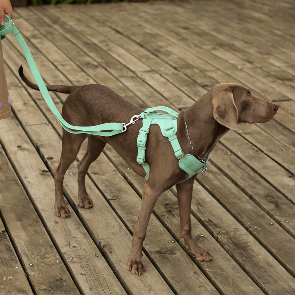 Gummy Dog Harness - FUNNYFUZZY