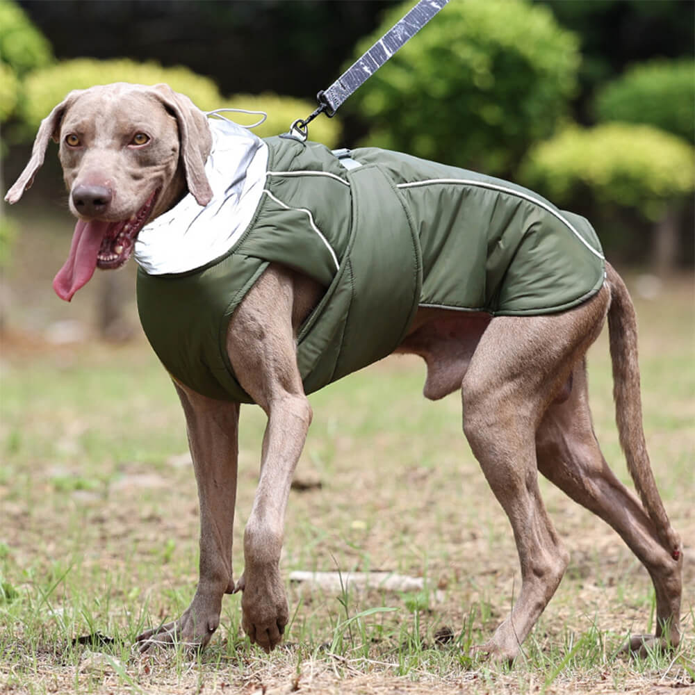 Wasserdichte, warme, reflektierende Hundejacke mit hohem Kragen