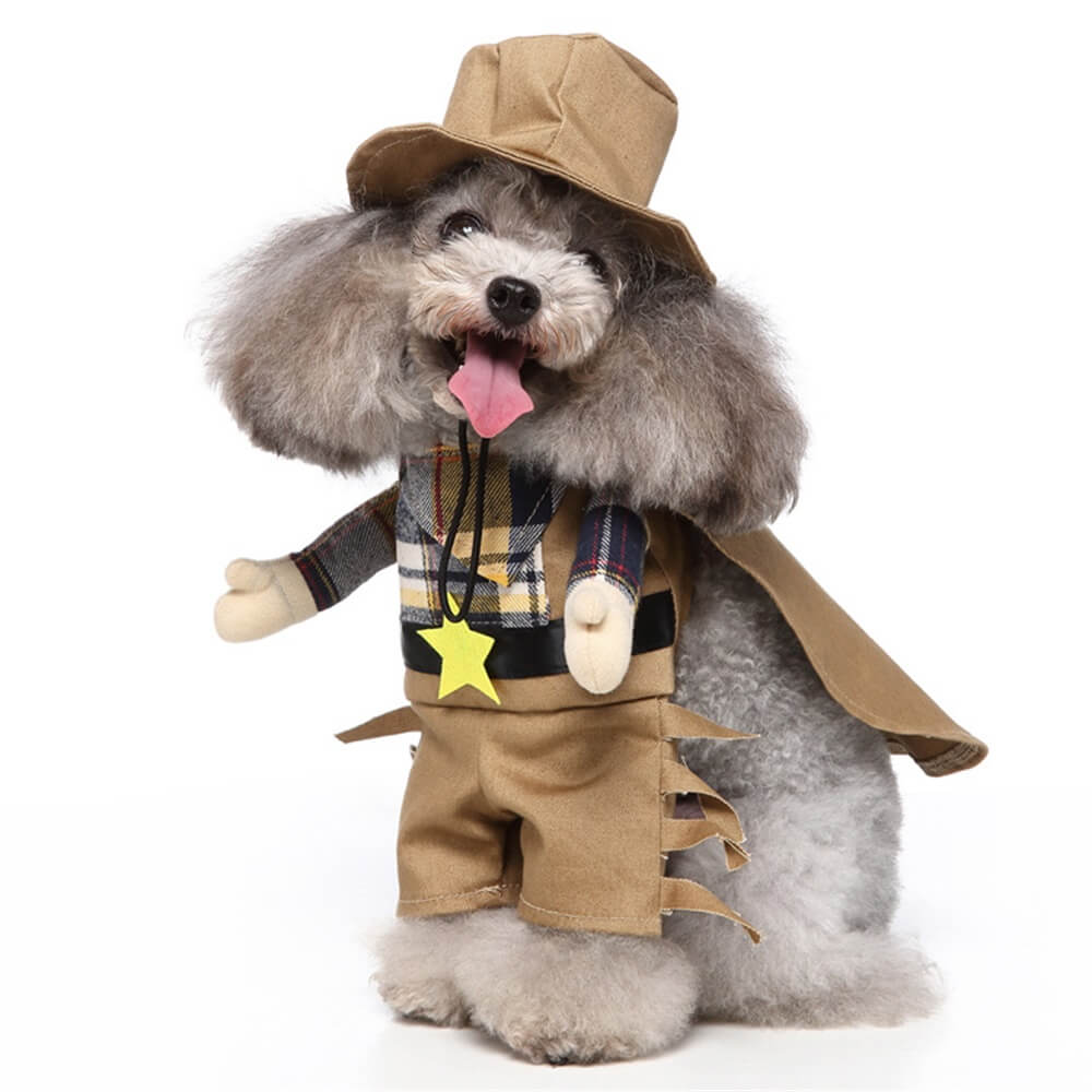 Disfraces divertidos de Halloween para perros cosplay: trajes divertidos y adorables para mascotas