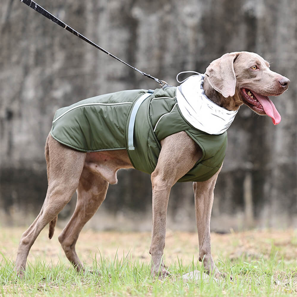 Wasserdichte, warme, reflektierende Hundejacke mit hohem Kragen