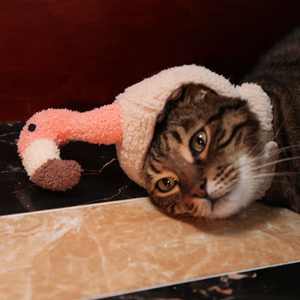 Sombrero para mascota disfraz de Halloween de murciélago unicornio flamenco