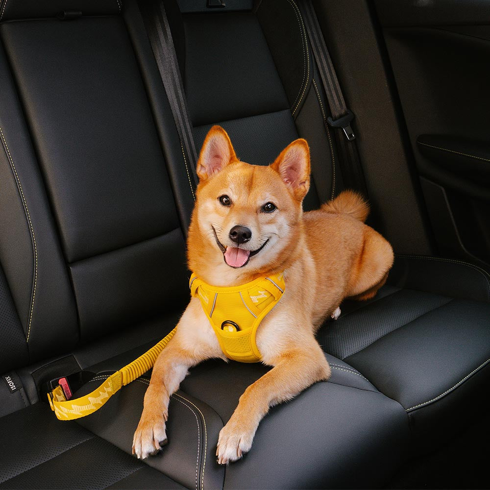 Buffer Adjustable Cool Dog Accessories Car Seat Belt