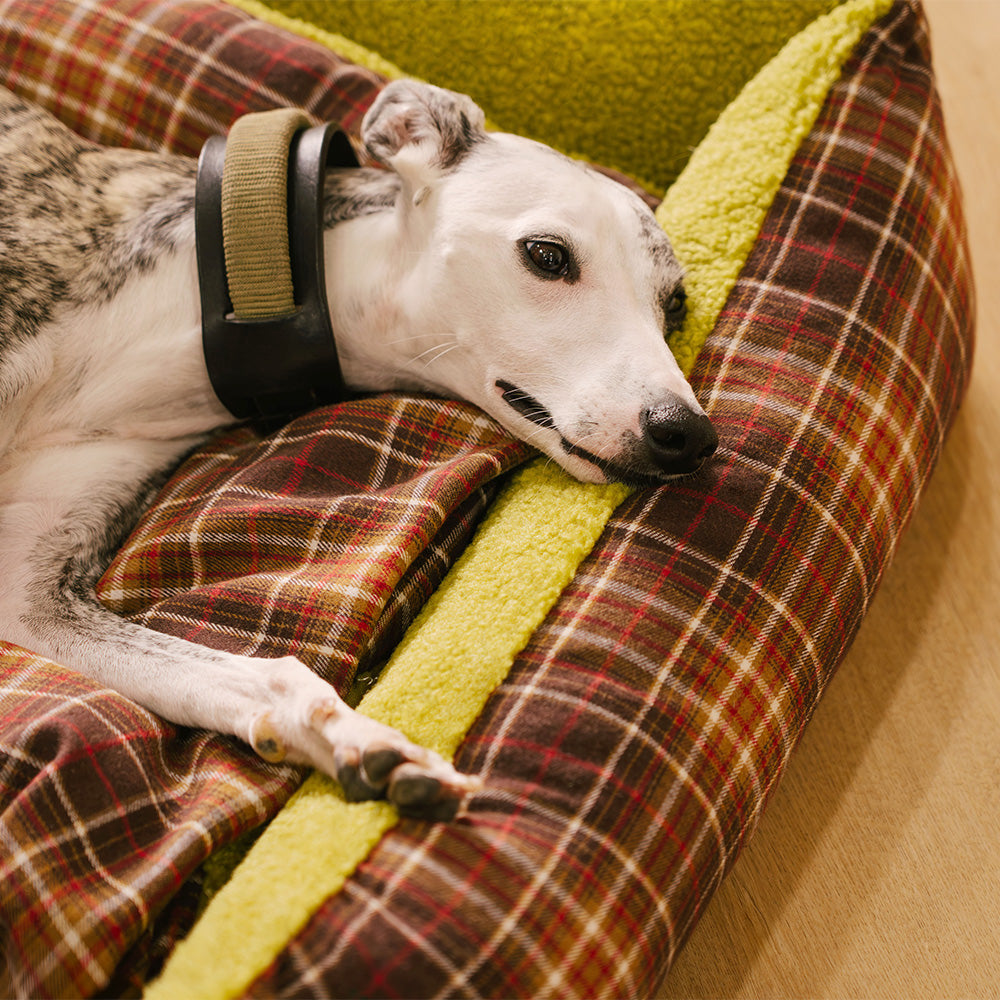 Cama plegable para perros con manta y diseño vintage de tartán lavable - Avocuddle