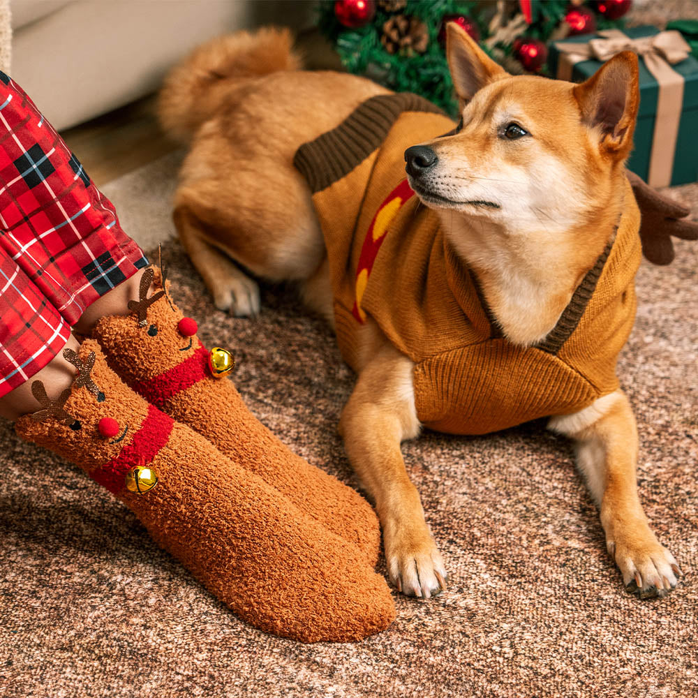 Weihnachtlich dicker, warmer Rollkragen-Hundepullover, passende Socken für Haustier und Besitzer