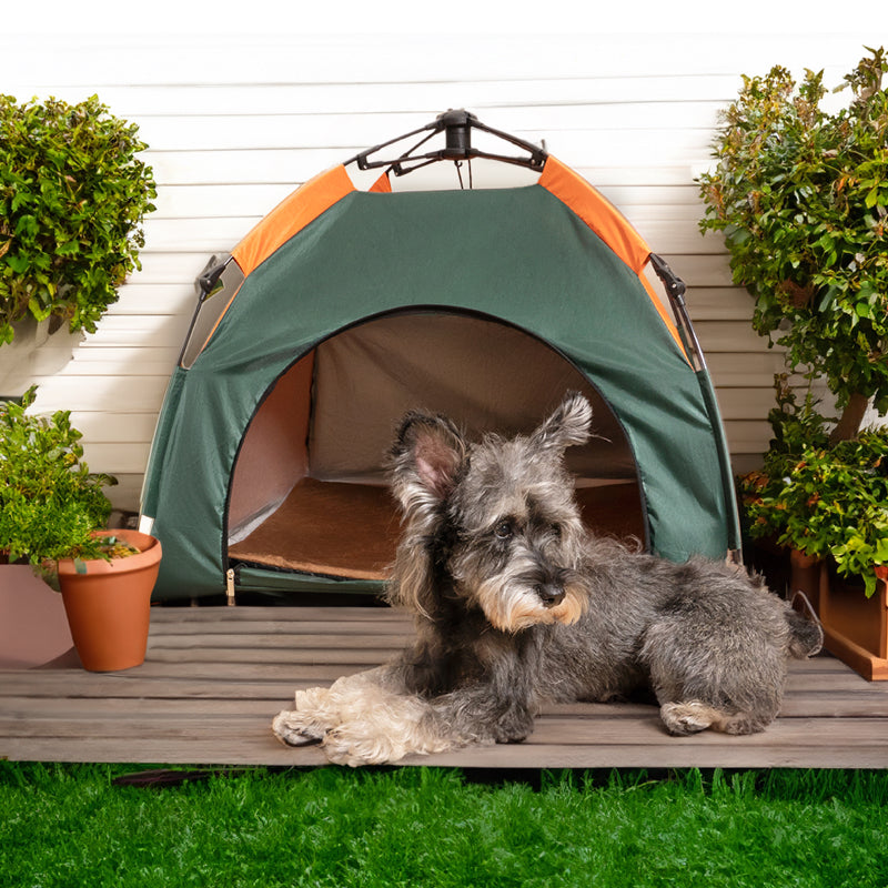 Tente pliable de camping portable en plein air pour chiens et chats