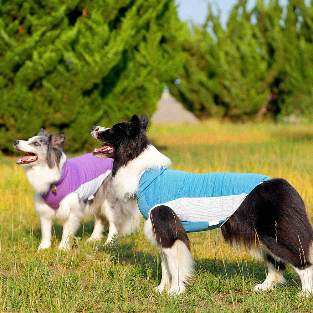 Ropa para perros para mascotas Sombrero para el sol de color en contraste al aire libre y chaleco refrescante para el sol