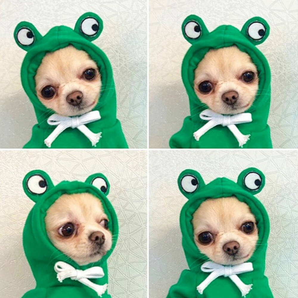 Funny Small & Medium-sized Dog Fruit Animals Pet Clothes