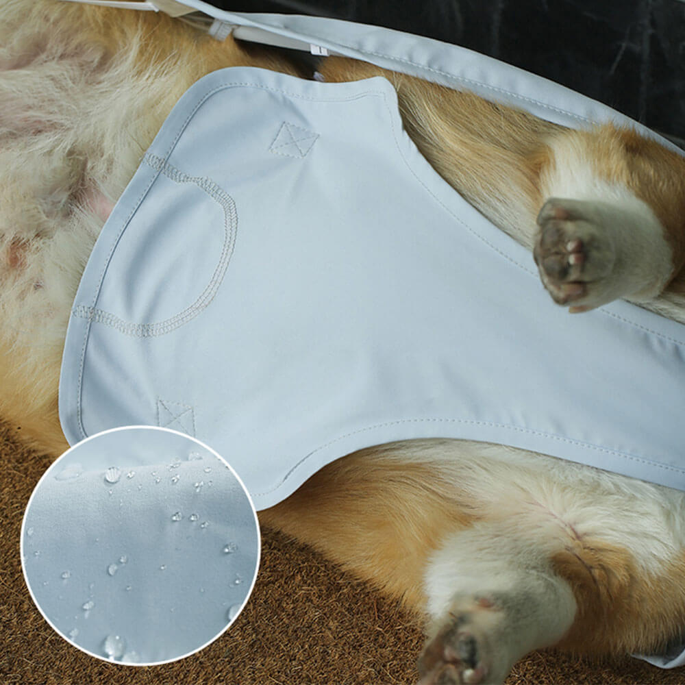 Puppy Full Bellyband Dog Raincoat - Transparent Large Brim for Maximum Protection