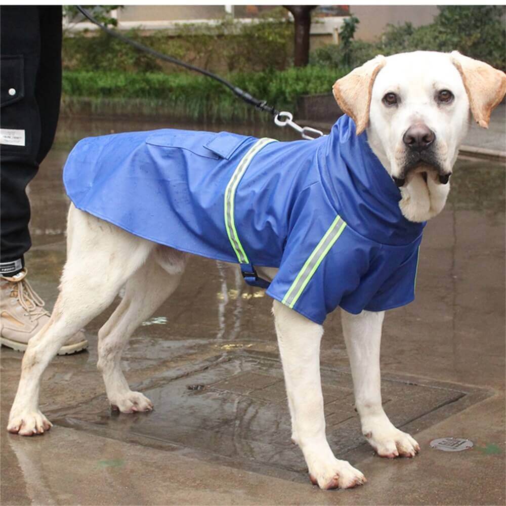 Chubasquero reflectante para perros al aire libre: resistente al agua y visible para protección en todo tipo de clima