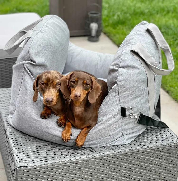 Cama para asiento de seguridad para perros y cachorros Travel Safety - Primera clase