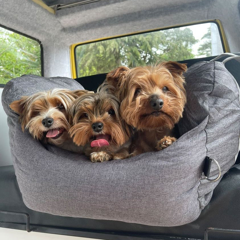 Cama para asiento de seguridad para perros y cachorros Travel Safety - Primera clase