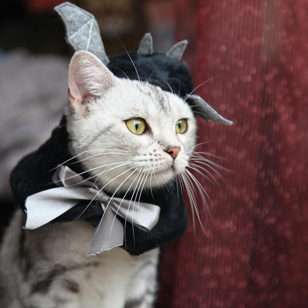 Sombrero para mascota disfraz de Halloween de murciélago unicornio flamenco