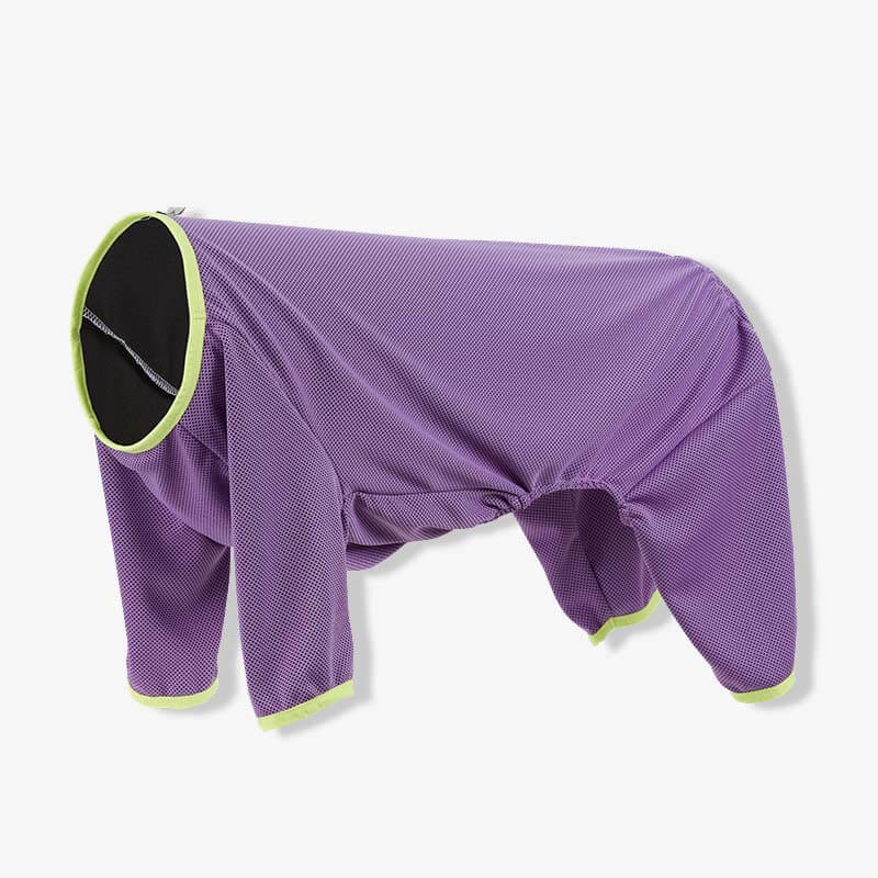 Chemises pour chiens à quatre pattes à séchage rapide, gilet rafraîchissant pour chien