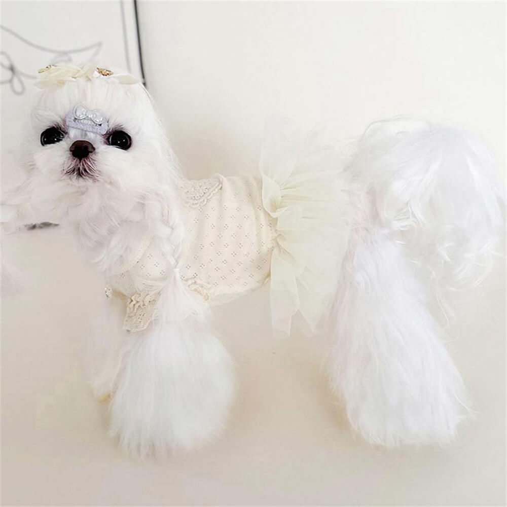 Elegant White Lace Dog Dress with Heart Accent - Perfect for Special Occasions