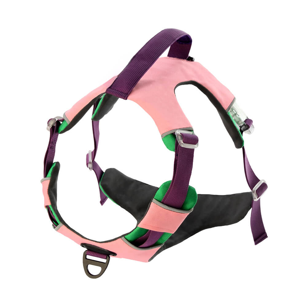 Pet Contrast Color Chest Harness and Dog Traction Rope - Explosion-Proof Vest Style