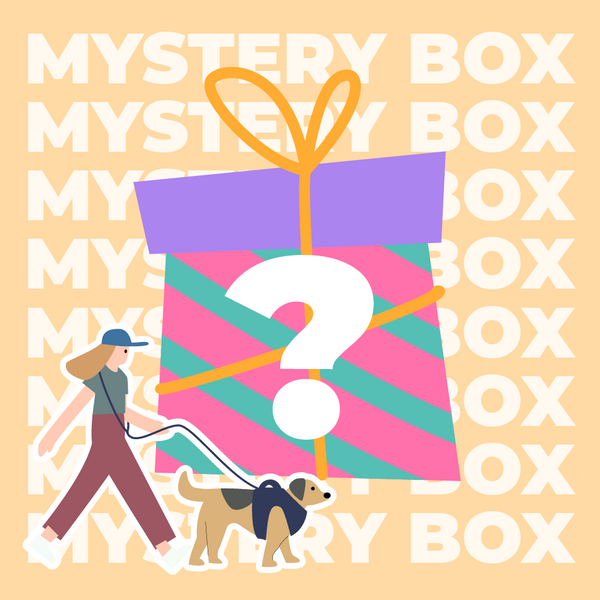 Kit da viaggio sicuro per cani entro 15 kg - $ 220 Value Mystery Box