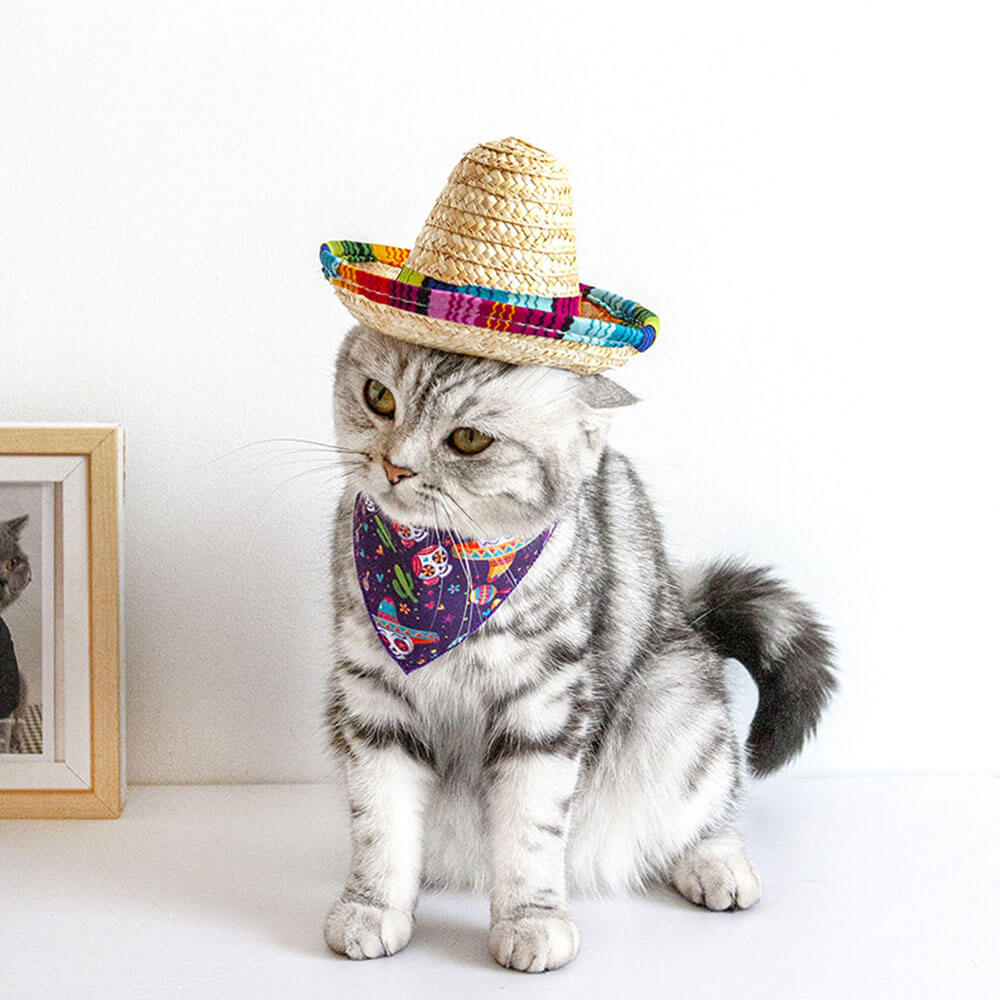 Fiesta Cat Costume Set - Sombrero and Bandana for Cats and Small Dogs