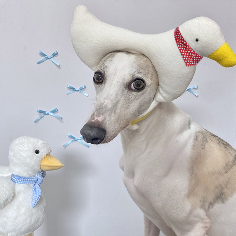 Sombrero para mascota disfraz de Halloween de murciélago unicornio flamenco