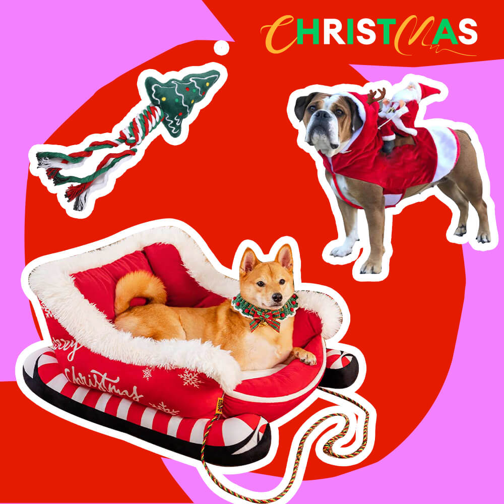 Weihnachtsschlitten-Hundebett - Geschenkpaket 3-tlg