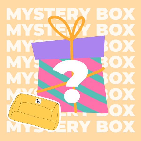 Kit da viaggio sicuro per cani entro 15 kg - $ 220 Value Mystery Box
